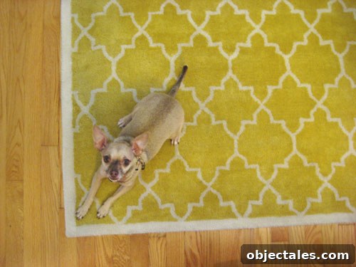 Chihuahua Laying On Yellow Graphic Rug