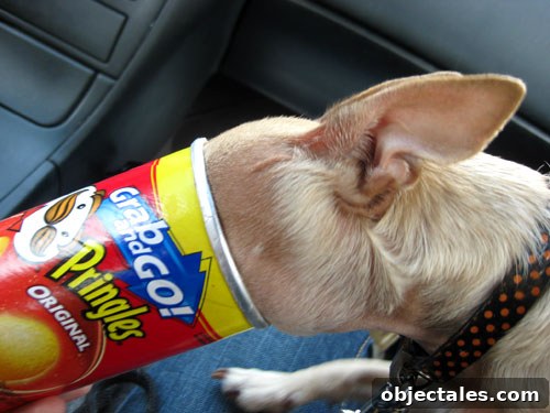 How We Landed a Book Agent, Wrote a Proposal, and Secured a Deal 3 pringles-face