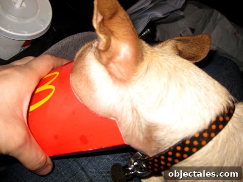 How We Landed a Book Agent, Wrote a Proposal, and Secured a Deal 5 french-fry-face