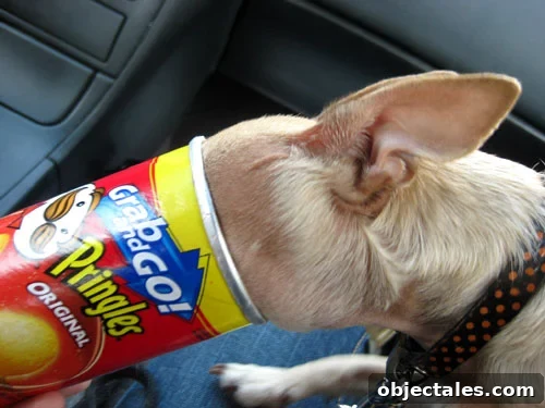 pringles-face