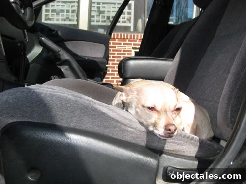 sunday-driver2
