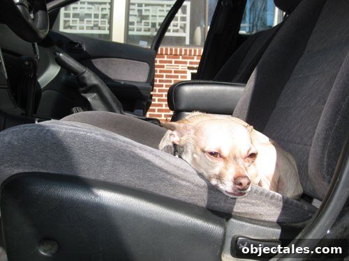 sunday-driver2