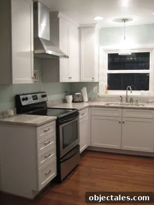 Left side of kitchen with range hood
