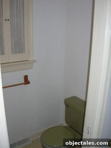 What Homebuyers Notice and Ignore When House Hunting 5 Dated Bathroom With Green Toilet