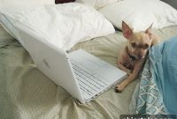 5-Year Blog Anniversary: How I Tend My Goals