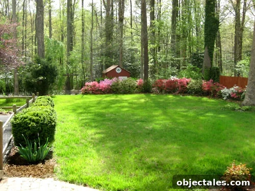 What We'd Do Differently in Our First Home: Lessons Learned 12 Grassy Backyard With Azaleas And Small Red Shed