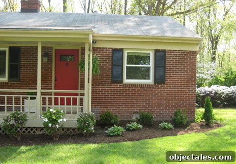 Small tree planted a safe distance from house foundation