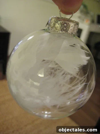 single feather inside a glass ornament