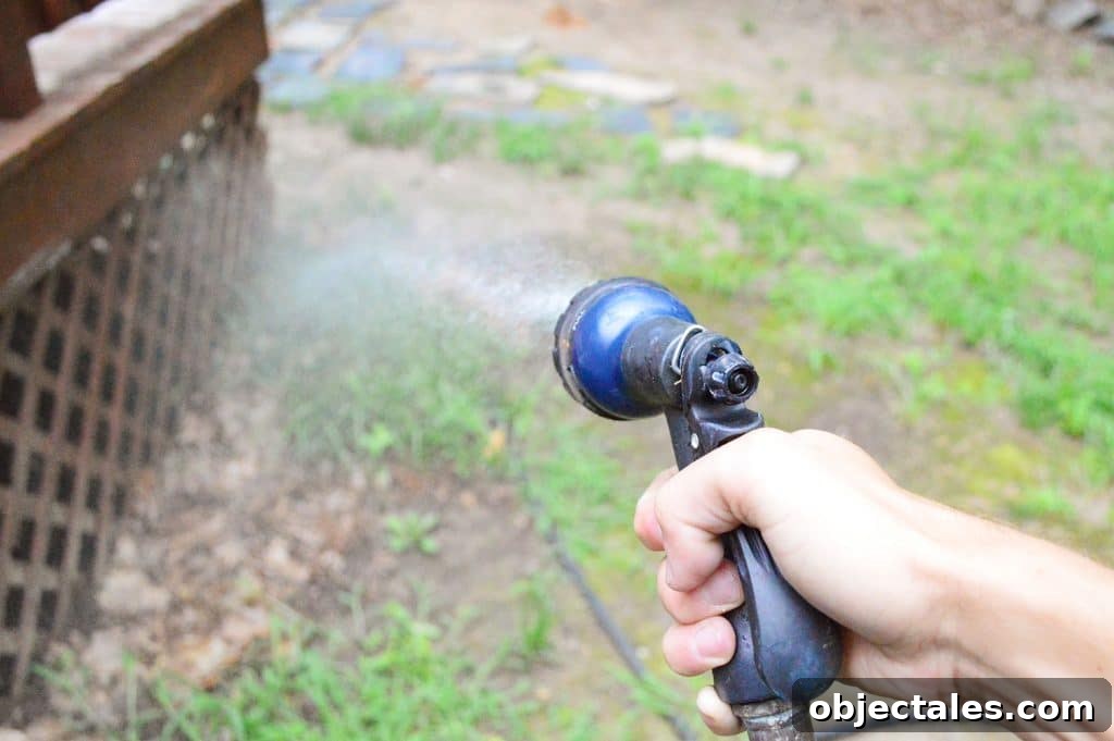 Hose spraying grass and plants near deck
