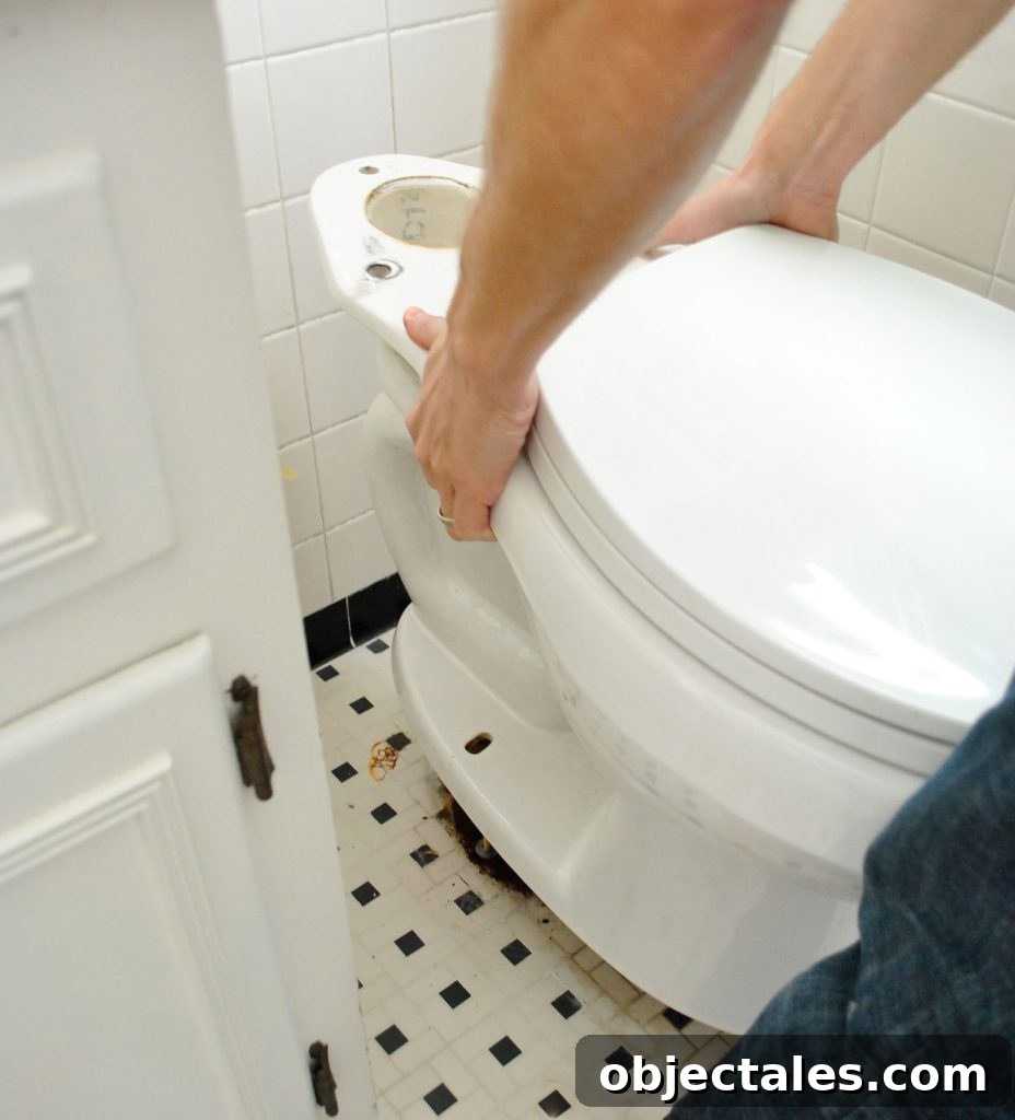 How to Install a Toilet: Step-by-Step Guide for Homeowners 10 John Placing New Toilet Bowl Onto Ground