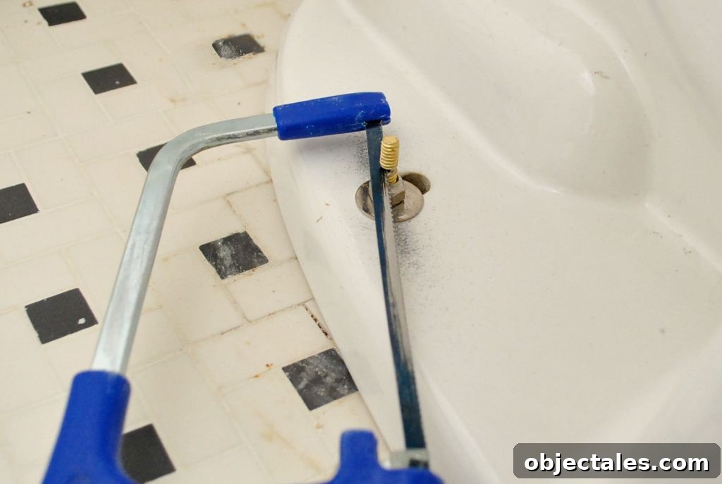 How to Install a Toilet: Step-by-Step Guide for Homeowners 12 Hacksaw Removing Excess Bolt Length On New Toilet