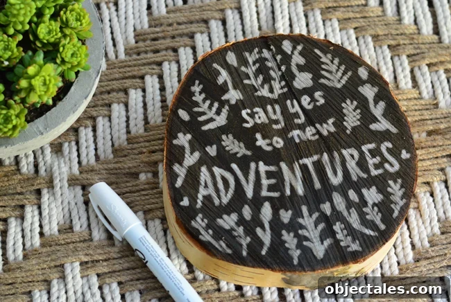 How to Have the Time of Your Life 2 New Adventures