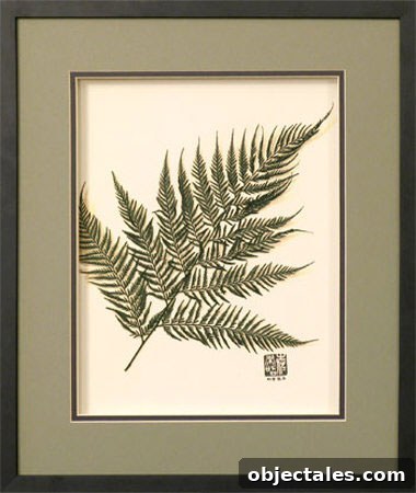 austral-fern-authentic-preserved-botanical austral-fern-authentic-preserved-botanical