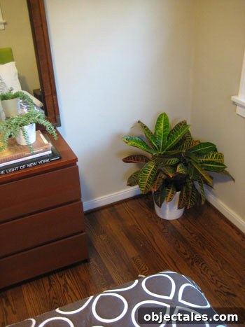 fire-plant-in-the-corner