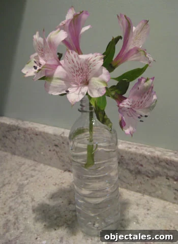 plastic-bottle-vase plastic-bottle-vase