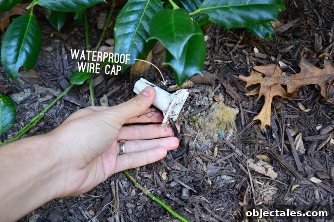 How to Install Home Uplighting: A Step-by-Step Guide 7 LandscapeLights-WaterproofCap-Daytime