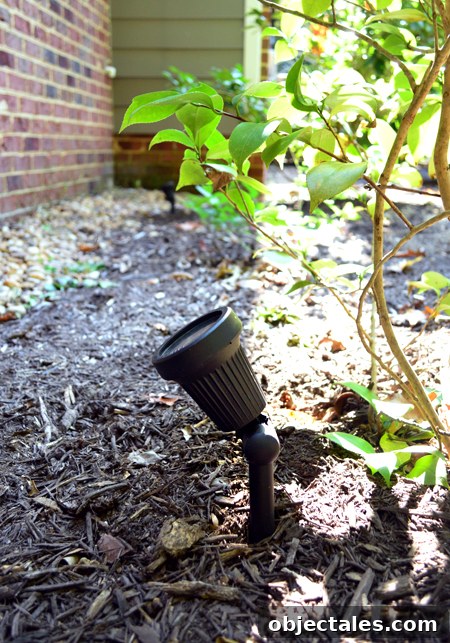 How to Install Home Uplighting: A Step-by-Step Guide 9 LandscapeLights-UpClose-Daytime