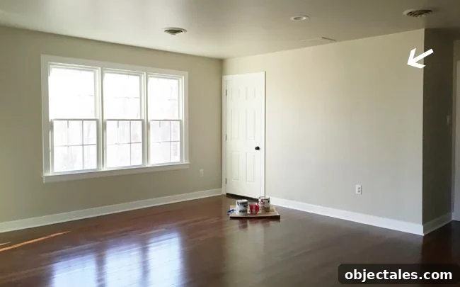 Hide TV Wires-Wall-Before-Blank