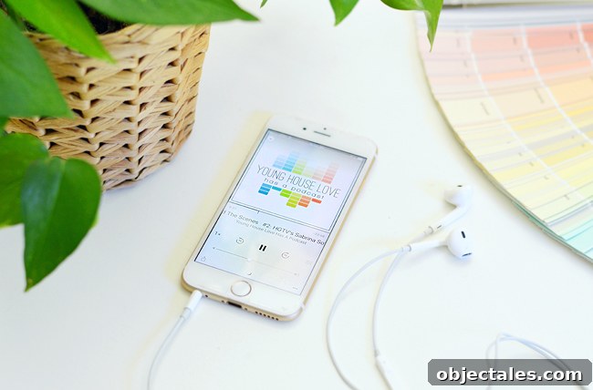 Our New Cat Podcast: Stories, Interviews, and More 2 PodcastPhonePlantPaintChips
