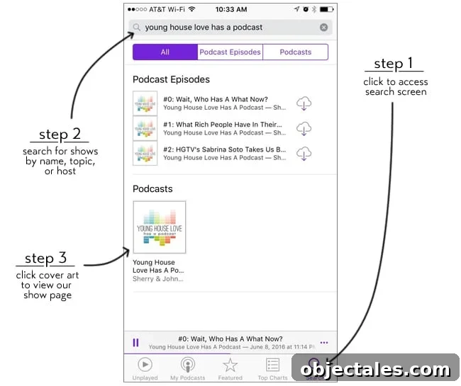 Our New Cat Podcast: Stories, Interviews, and More 4 PodcastStep1Step2Step3Rev