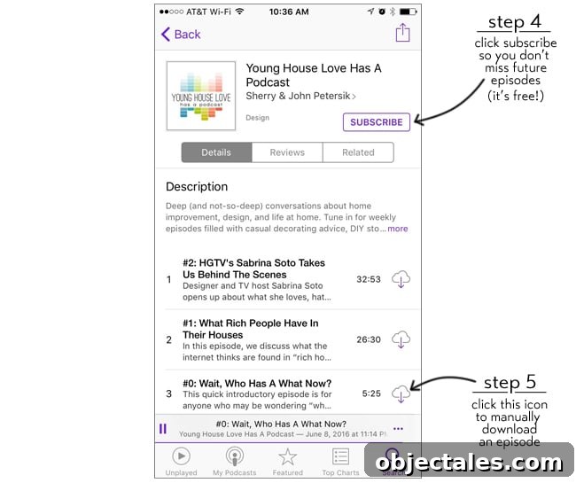 Our New Cat Podcast: Stories, Interviews, and More 5 PodcastStep4Step5Rev