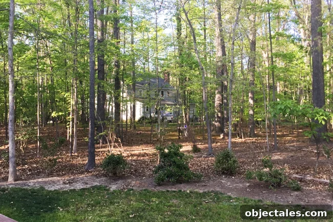 Choose the Right Backyard Storage Shed 3 Shed-Before-Need-For-Privacy