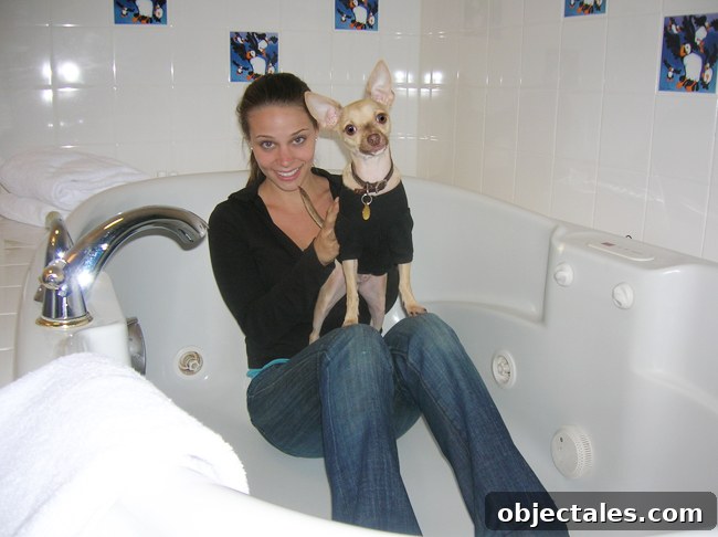 Genevieve Gorder Solves Home Decorating Dilemmas 3 Ep9-HoneymoonHotTub