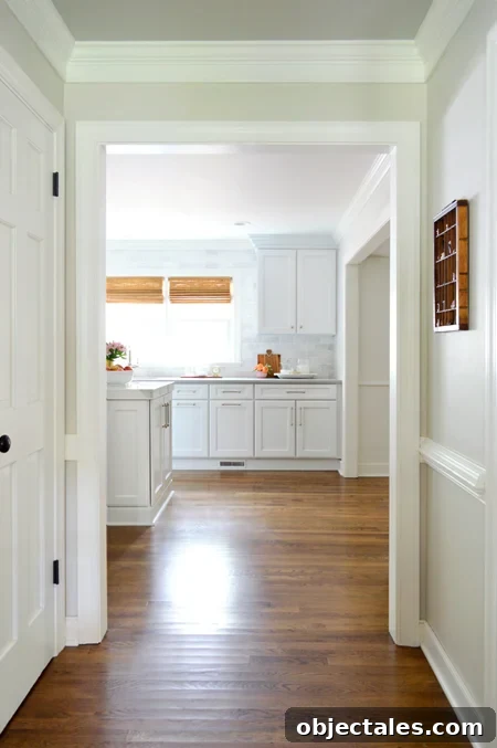 Kitchen Remodel Progress: Gutting and Rebuilding 16 kitchen-demo-from-foyer-now