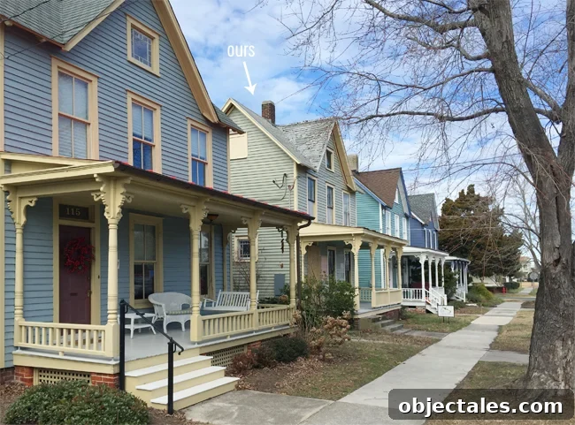 Neighboring blue houses