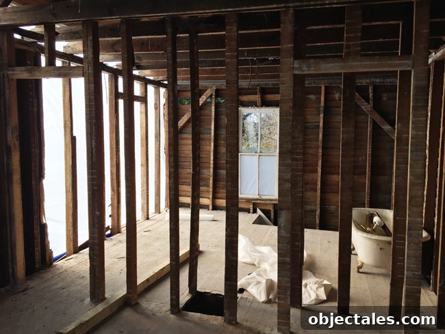 Beach House Gut Renovation: Stripping It Down to the Studs 16 Light coming through during rebuild