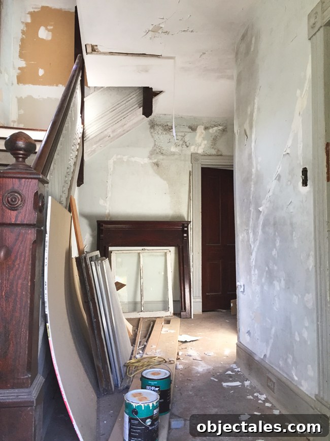 Beach House Gut Renovation: Stripping It Down to the Studs 3 Exposed studs and framing