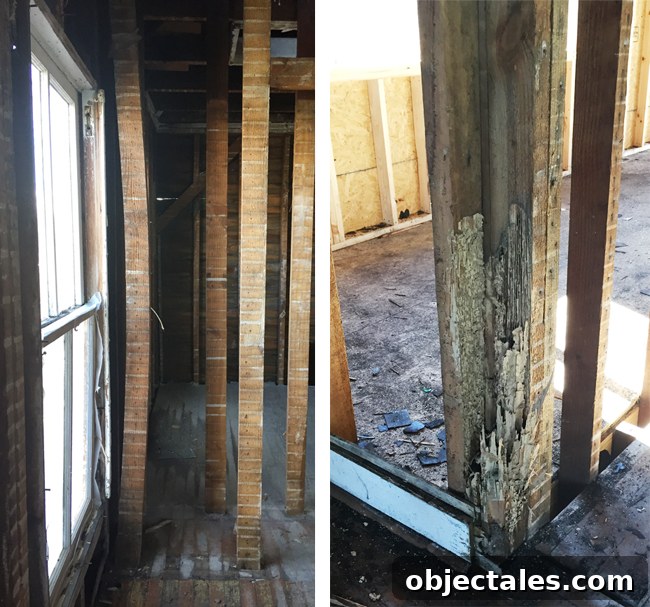 Beach House Gut Renovation: Stripping It Down to the Studs 4 Termite damage and warped stud