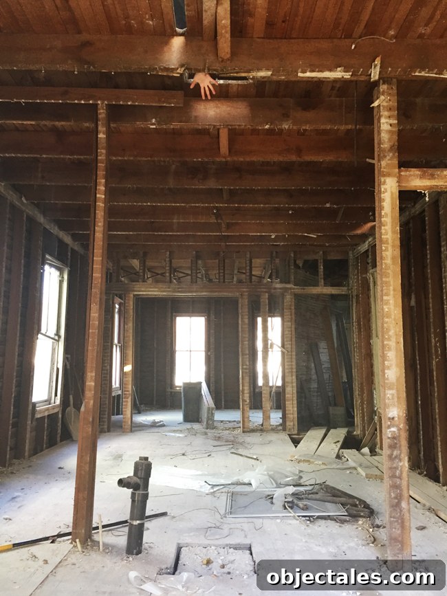 Beach House Gut Renovation: Stripping It Down to the Studs 9 Interior space after demo