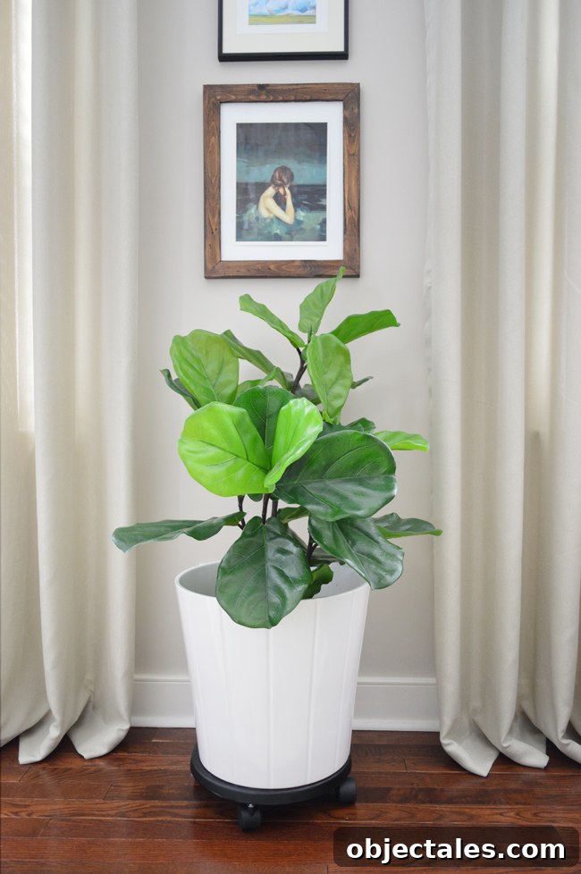 Realistic Faux Fiddle Leaf Fig That Looks Truly Lifelike 3 Large faux fiddle leaf fig by a window