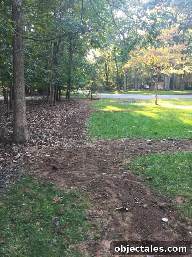 Install Your DIY Sprinkler System: Step-by-Step Guide 15 irrigation system install trenches filled in