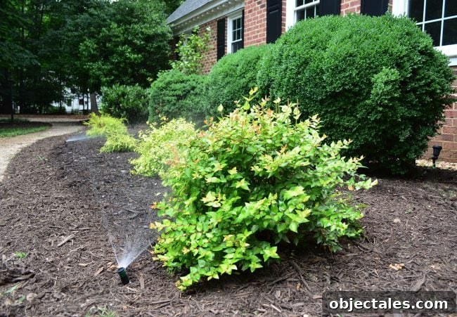 Install Your DIY Sprinkler System: Step-by-Step Guide 5 irrigaiton system mister head in mulch bed
