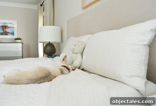 Episode 51: Why We're Demolishing Our Deck 3 Bedroom sheets with pets