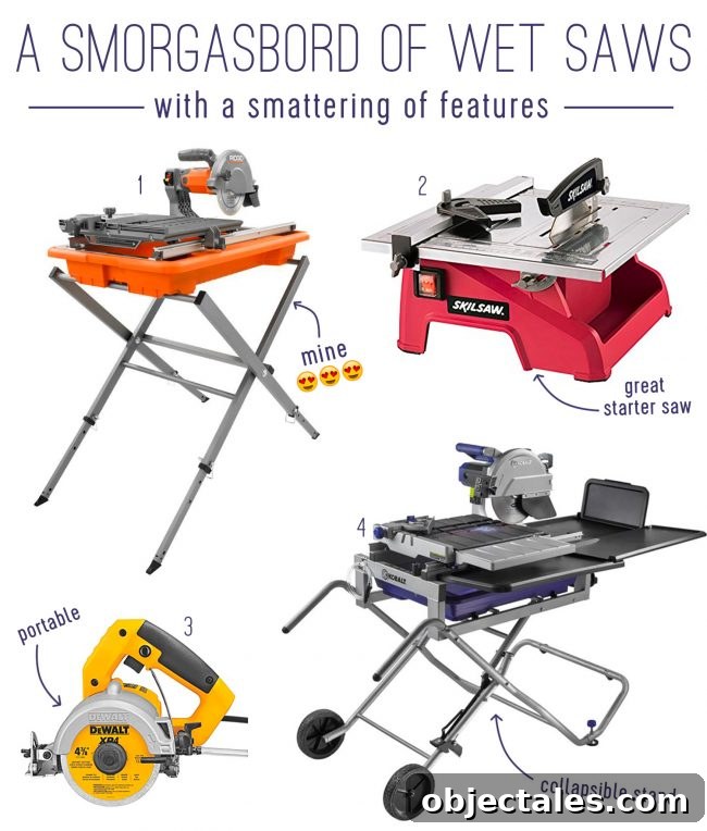 Episode 51: Why We're Demolishing Our Deck 4 Wet saw and tile project