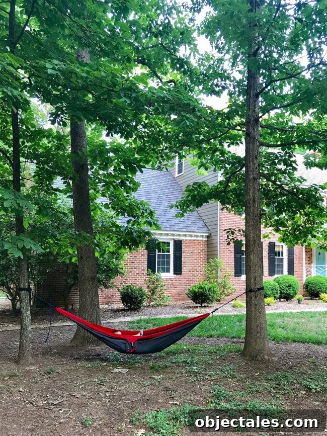 Kids in hammock