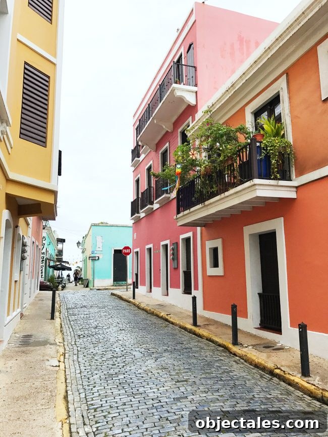 img 83112 23