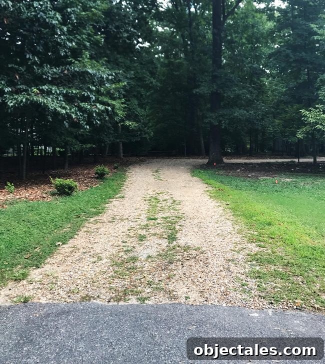 Before paving: weedy driveway edge