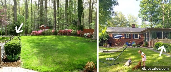 Comparison of low and taller fence