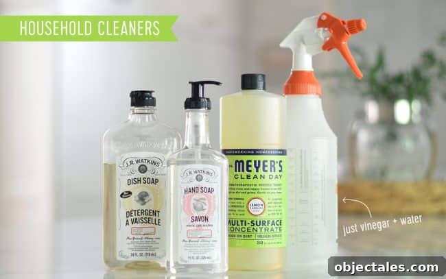 Eco-Friendly Household Cleaners and Personal Care Products 2 Natural Household Cleaners By JR Watkins And Mrs Meyers