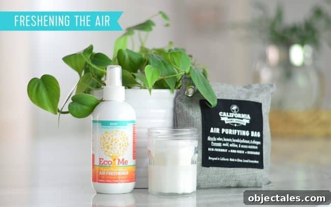 Eco-Friendly Household Cleaners and Personal Care Products 4 Natural Air Fresheners Candle Charcoal Bag