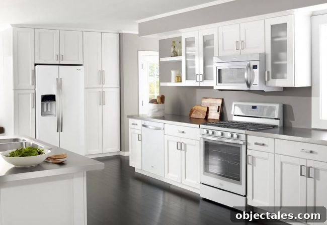 Fridge white ice example