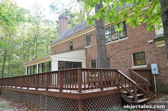 Old deck with tree