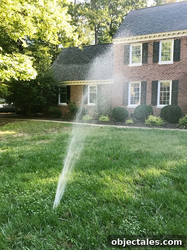 Yard sprinkler water stream