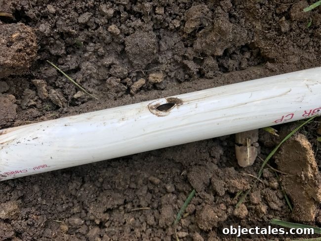 Damaged irrigation pipe close-up