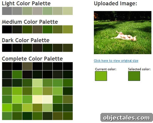 burgergreencolorspalettegenerator