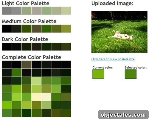 burgergreencolorspalettegenerator